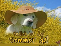 sommer