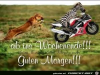 Ab ins Wochenende