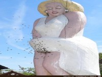 Frau-Monroe-wir-muessen-ueber-Hygiene-reden