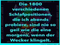 1800 verschiedene Schlafpositionen