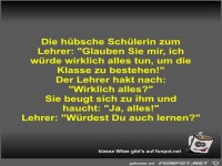 Die h�bsche Sch�lerin zum Lehrer