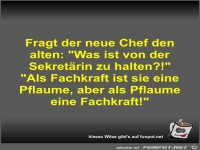 Fragt der neue Chef den alten