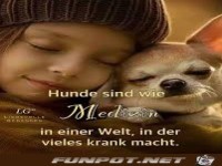 Hunde sind wie Medizin