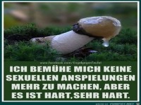 Ich bemhe mich keine sexuellen Anspielungen mehr zu machen