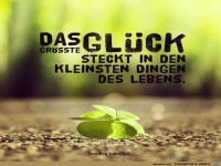 Die kleinen Dinge des Lebens