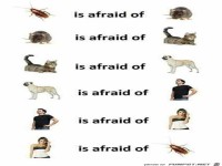 So ist der Kreislauf