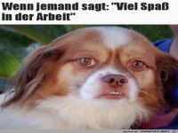 Viel Spa� bei der Arbeit