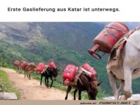 Erste Gaslieferung