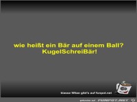 wie hei�t ein B�r auf einem Ball?