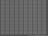 Finde die Zahl, die nicht 529 ist