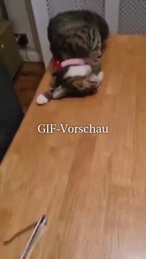 Witziges Video Lahme Party - Tausende Videos Auf FUNPOT