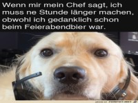 Das ist bl�d