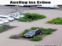 Ausflug ins Gr�ne