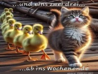 S��es Team auf dem Weg ins Wochenende