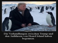 Mensch-Pinguin Verhandlungen auf Heard Island