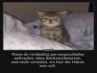 Verschlafen oder verkatert?