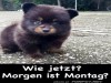 weiter