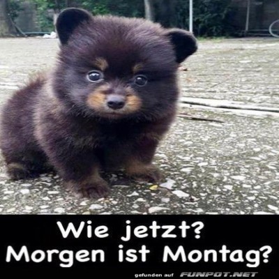 Wie-jetzt.jpg von Matilda