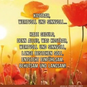Geduld:-Das-Geheimnis-der-Mohnblumen.jpg von Matilda