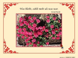 herz-Bild: Was bleibt z&auml;hlt
