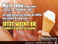 steuer-waffeleis