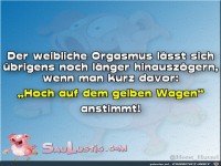Der weibliche Orgasmus