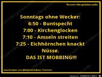 Sonntags ohne Wecker