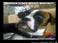 Montag0