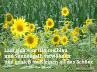 Lass dich vom Himmelblau