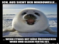 aus der Sichet der Mikrowelle