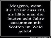 Die Morgen-Frisur
