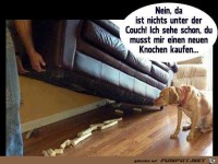 Keine Knochen da