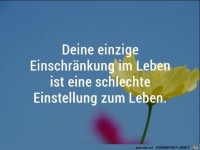 Einschraenkung