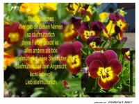 Stiefmuetterchen wer gab den Namen