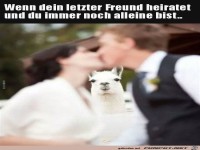 Bl�d gelaufen