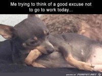 Dann überleg mal gut