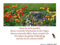 Wenn du mich ansiehst