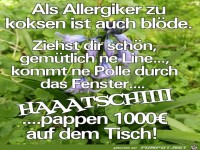 Kokser