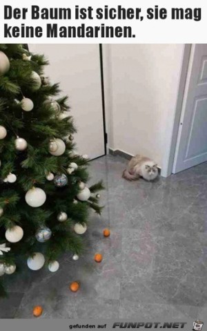 Der-Baum-ist-katzensicher.jpg auf www.funpot.net