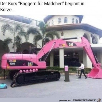Rosa-Bagger.jpg von Ida