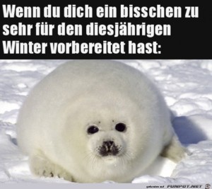 Gut-vorbereitet-fr-den-Winter.jpg auf www.funpot.net