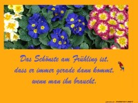 Das Schnste am Frhling 2