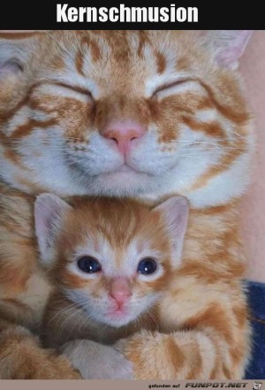 Sooo-lieb.jpg auf www.funpot.net