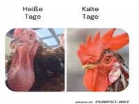 Hei�e und kalte Tage