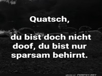 Witzige Aussage ber Intelligenz