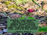 dass verstand erst mit den jahren