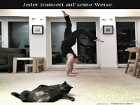 Wenn Yoga auf Katzenfaulheit trifft