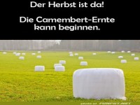 Camembert im Freien: Herbstliche Erntezeit!