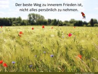 Der beste Weg