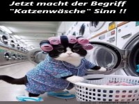 Katzenwäsche deluxe!